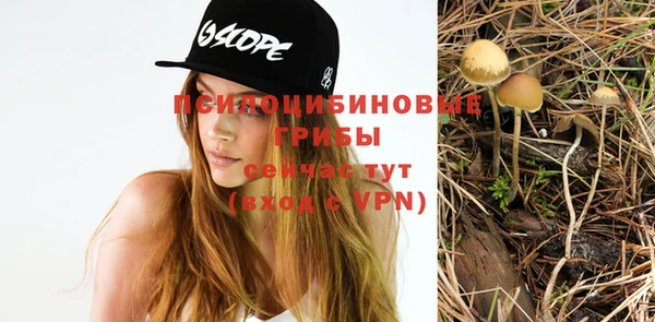 дмт Абинск