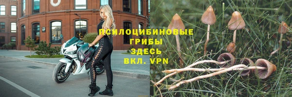 дмт Абинск