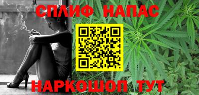 шишки Изобильный