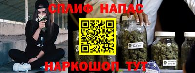 шишки Изобильный
