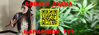 шишки Изобильный