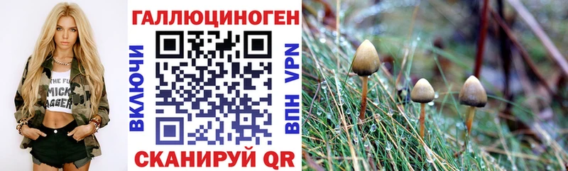 купить наркоту Ржев Галлюциногенные грибы GOLDEN TEACHER