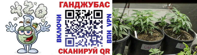 Конопля VHQ  хочу   Ржев 